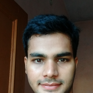 Ashish Mishra-Freelancer in Moradabad,India