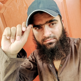 Muhammad Waleed-Freelancer in Rahim Yar Khan,Pakistan