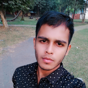 Aasif Malik-Freelancer in Bokaro,India
