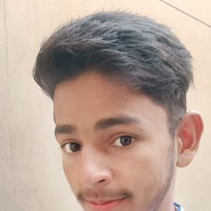 Ankush Sabhrwal-Freelancer in Barwasni,India