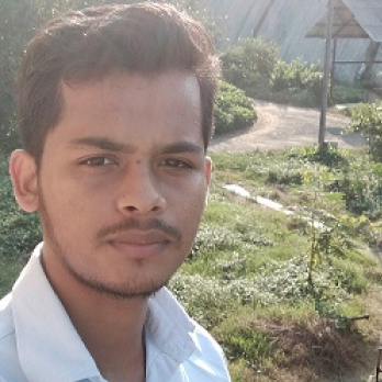 Asif Ayan Ahmed-Freelancer in Guwahati,India