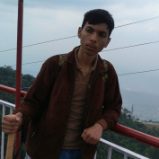 Anshul Shukla-Freelancer in ,India
