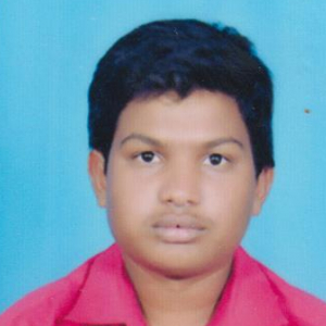 Gadda Bala-Freelancer in Chagalamarri,India