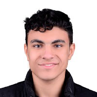 Abdel Rahman Medhat-Freelancer in ,Egypt