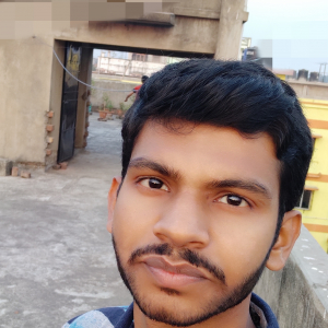Ranik Chowdhury-Freelancer in kshirgram,India