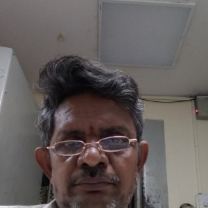 Makarala Narasimha-Freelancer in ,India