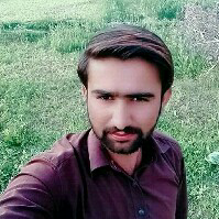 Arshad Hussain-Freelancer in Minchinabad,Pakistan