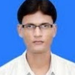 Ravi Kumar-Freelancer in ,India