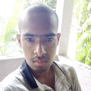 Biplab Biswas-Freelancer in Kolkata,India