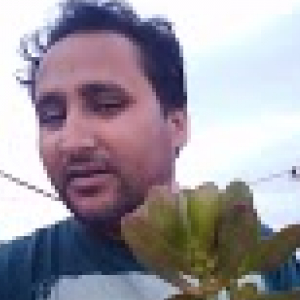 Lakhender Bhardwaj-Freelancer in Rewari,India