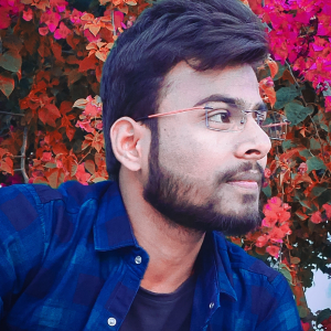 Ravi Kishan-Freelancer in ,India
