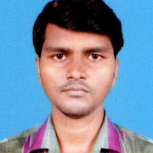 Pramoda Kumar Mallik-Freelancer in ,India