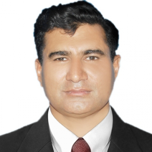 Dr Ansar Hussain-Freelancer in Rawalpindi,Pakistan