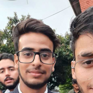 Arjun Dhiman-Freelancer in ,India
