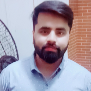 Sultan Malik-Freelancer in Lahore,Pakistan