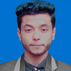 Rakib Hossain-Freelancer in Lakshmipur,Bangladesh