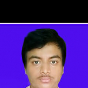 Satrujit Sahoo-Freelancer in ,India