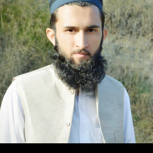 Ali Asghar-Freelancer in Swat Pakistan ,Pakistan