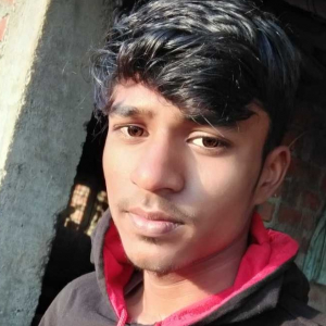 Mahesh Kadwe-Freelancer in Multai ,India