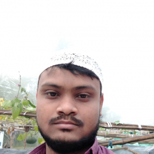 Altab Ali-Freelancer in Baranagar,India