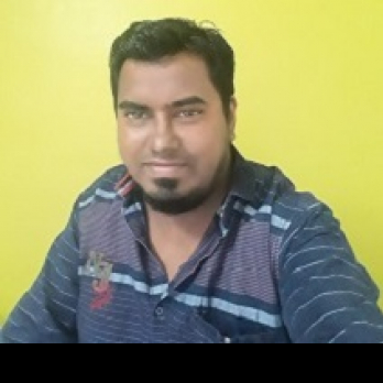 Mohmadsajid Patel-Freelancer in Valsad,India