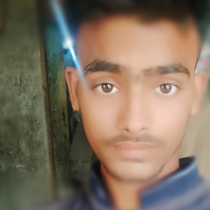 Zainul Ansari-Freelancer in Uttar Pradesh,India