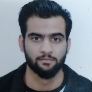 wajid hussain kashoo-Freelancer in ,India