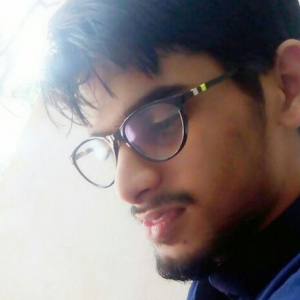 Venkata Rama Krishna Rao Lolla-Freelancer in Sunabeda,India