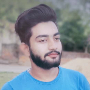 RAHENA BIBI-Freelancer in HAROA,India