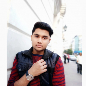 Rajesh -Freelancer in New Delhi, Delhi ,India
