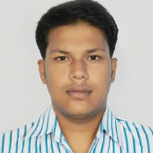 Rahul Pal-Freelancer in ,India