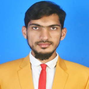 Syed Imran-Freelancer in Hyderabad,India