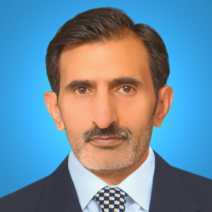 Syed Zahoor Ul Hasan Sherazi-Freelancer in Lahore,Pakistan