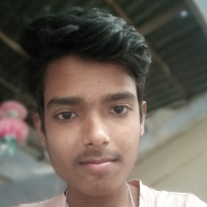 @Subha Sarkar-Freelancer in raiganj,India