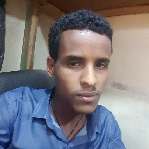 Mulugeta Admasu-Freelancer in ,Ethiopia