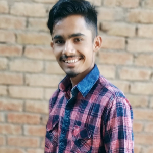 Onkar Delu-Freelancer in Chautala,India
