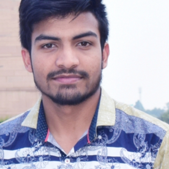 Avinesh Kumar-Freelancer in ,India