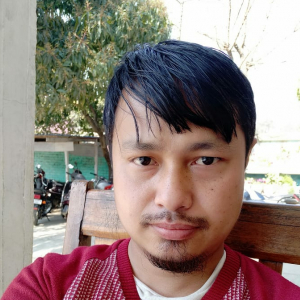 Yumnam Topendra Singh-Freelancer in Imphal east,India