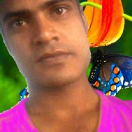 Md Mizanur Rahman-Freelancer in Dhaka,Bangladesh