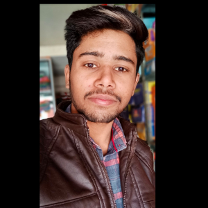 Lokesh Kumar Teli-Freelancer in Udaipur,India