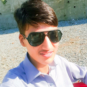 Syed Abubakar Bacha-Freelancer in Peshawar,Pakistan