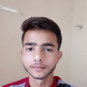Iqrar Ahmad-Freelancer in Lucknow,India