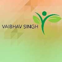 Vaibhav Singh-Freelancer in Barhi,India