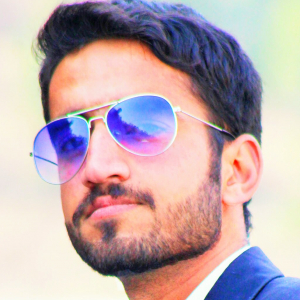 Ameer Hamza-Freelancer in Havelian,Pakistan