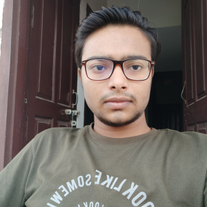 Rishav Raj-Freelancer in ,India