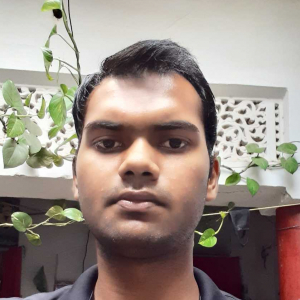 Lalit Gautam-Freelancer in ,India