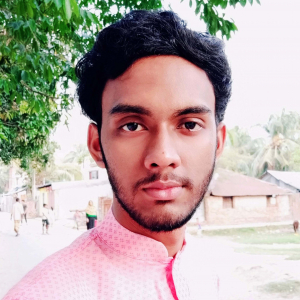 Rony Hossain-Freelancer in Chittagong,Bangladesh