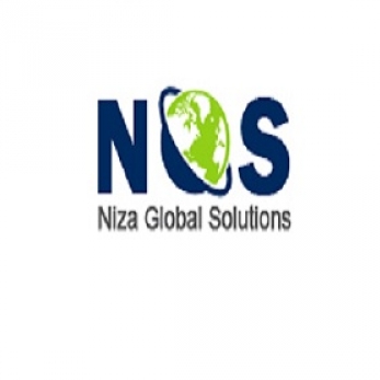 Niza Global Solutions-Freelancer in Thane,India