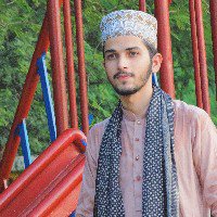 Chand Ali-Freelancer in Gujrat,Pakistan