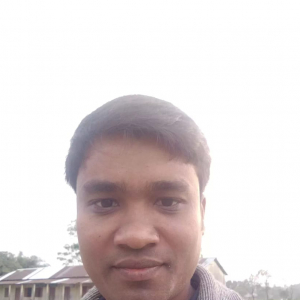 Pabitra Barman-Freelancer in North Dumdum,India